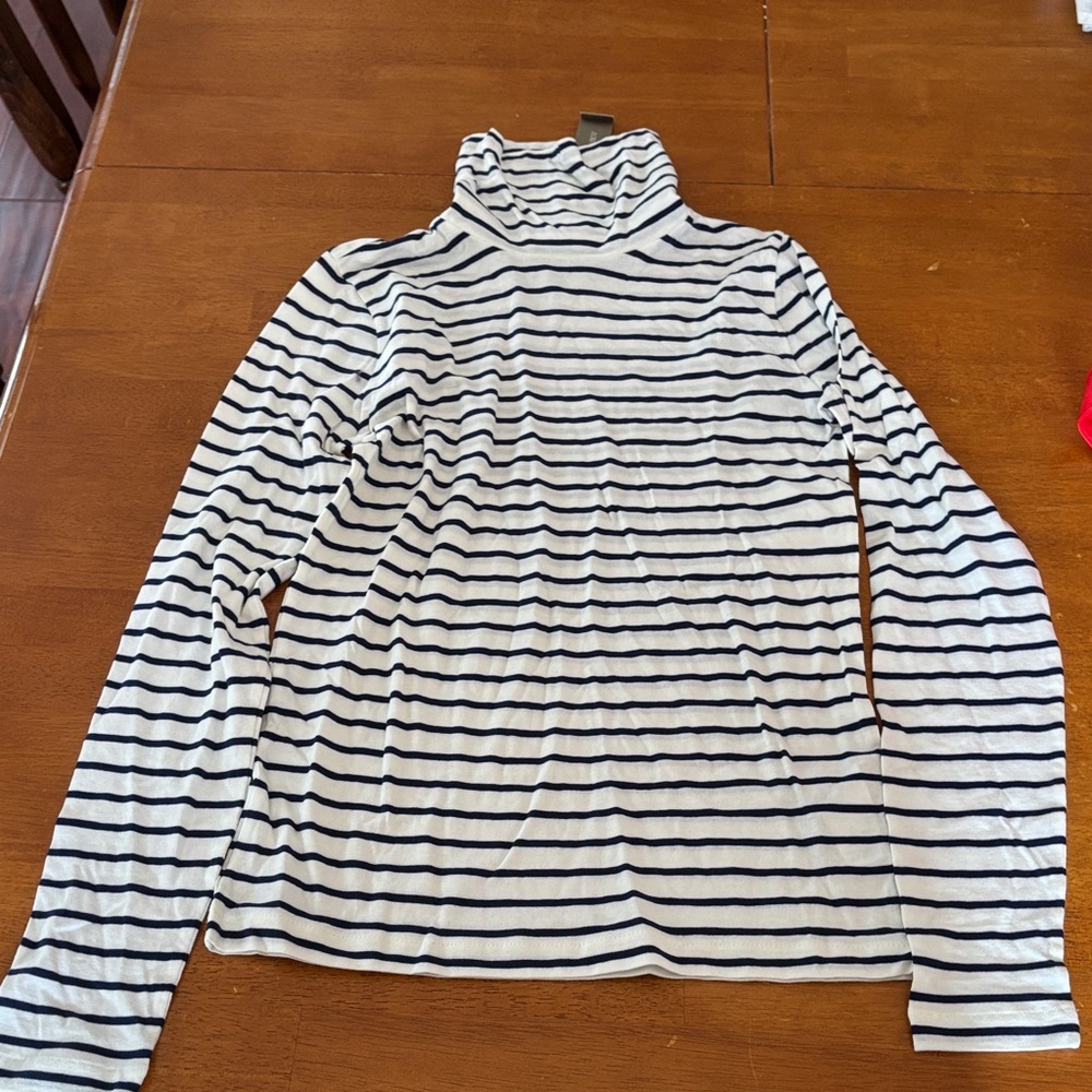 J. Crew Navy and White Striped Turtleneck